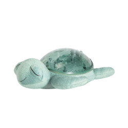 TRANQUIL TURTLE...